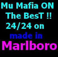 marlboro